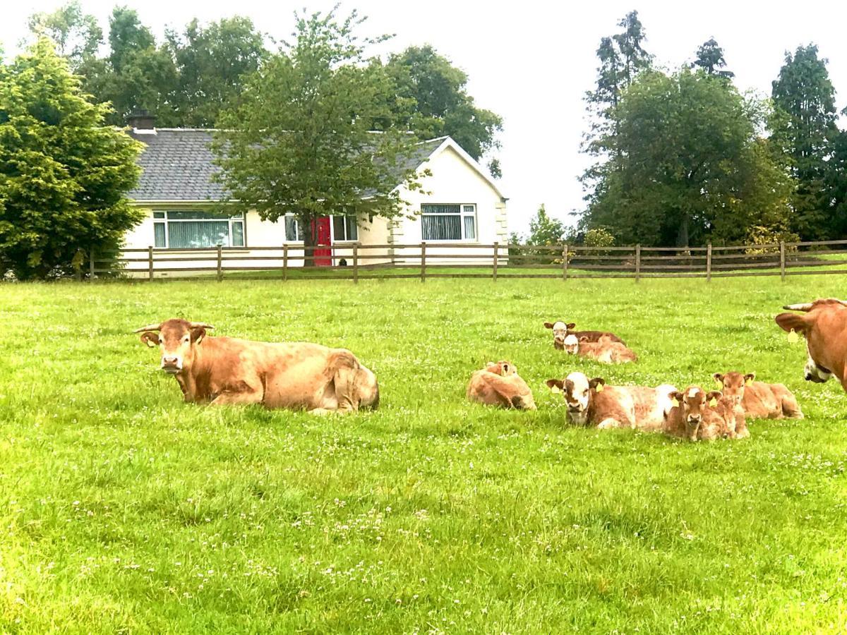 Knocknagore Cottage Gilford Dış mekan fotoğraf